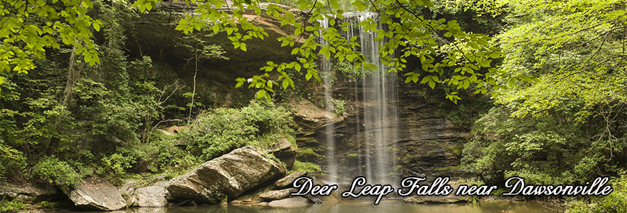 Deer Leap0821